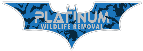 Downriver Wildlife LLC